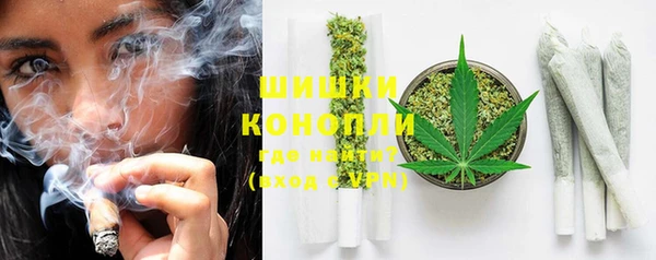 дмт Инта