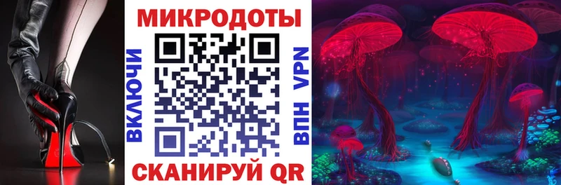 мега вход  Чёрмоз  Псилоцибиновые грибы Psilocybe 